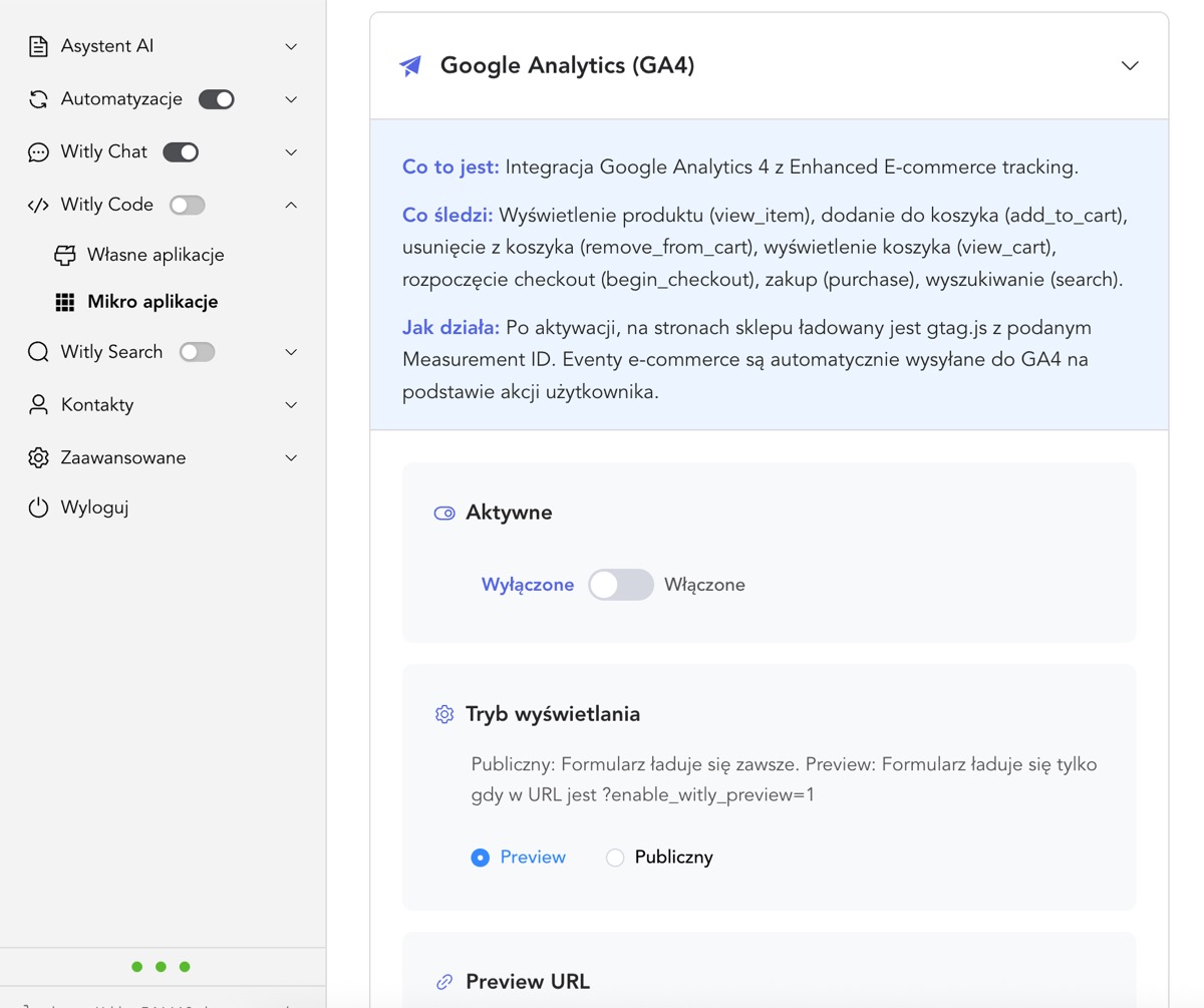 Konfiguracja Google Analytics w panelu Witly