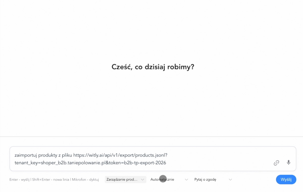 Podawanie URL pliku importu w Witly